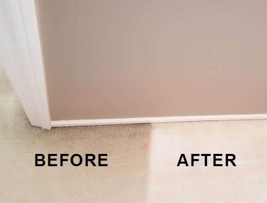 Living Room Carpet Before and After