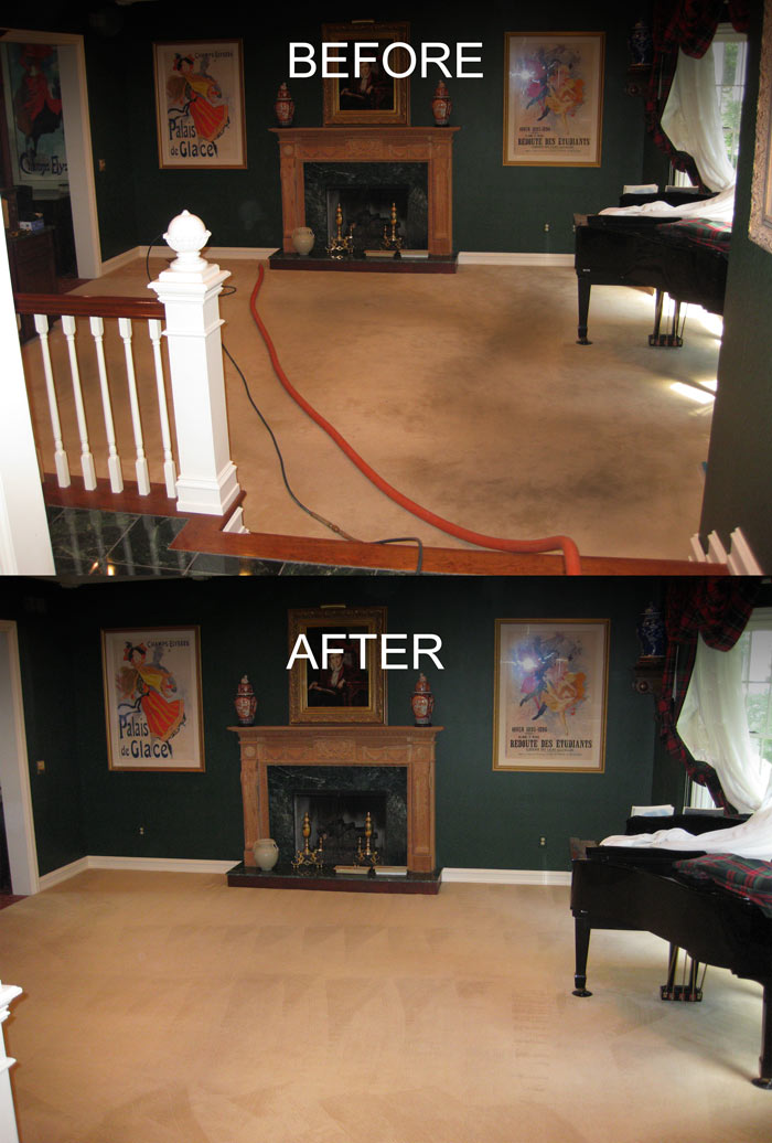 Living Room Carpet Before and After