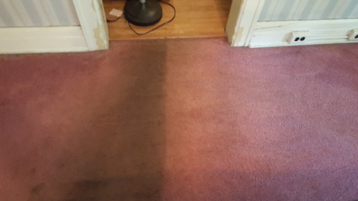 Living Room Carpet Before and After