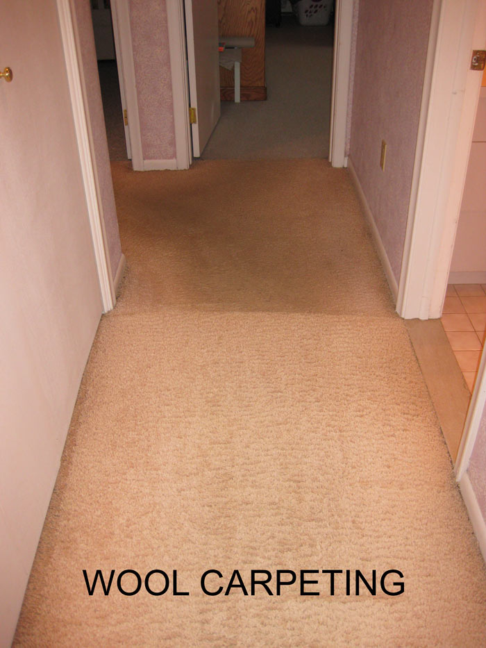 Wool carpeting Before and After