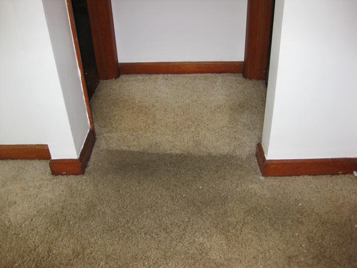 Living Room Carpet Before and After